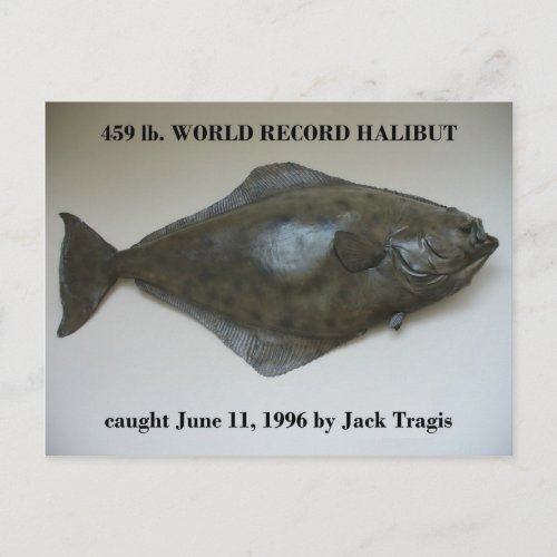 World Record Halibut caught in Dutch Harbor AK Postcard