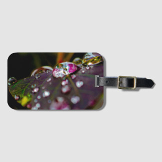 World Through a Droplet Luggage Tag