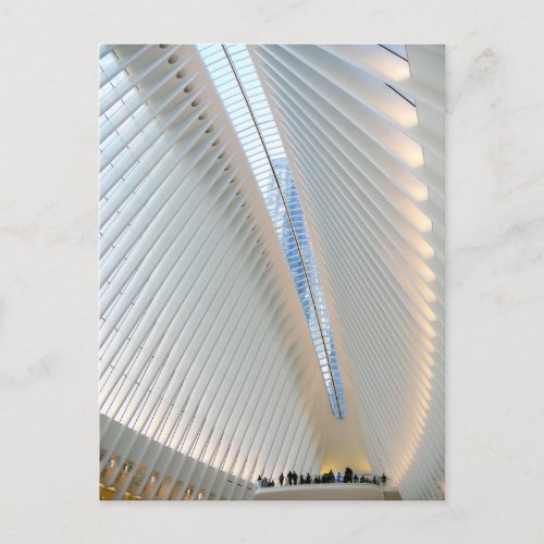 World Trade Center Transportation Hub NY Postcard