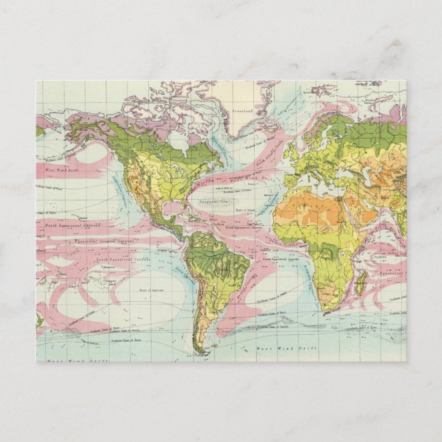 World vegetation & ocean currents Map Postcard (Front)