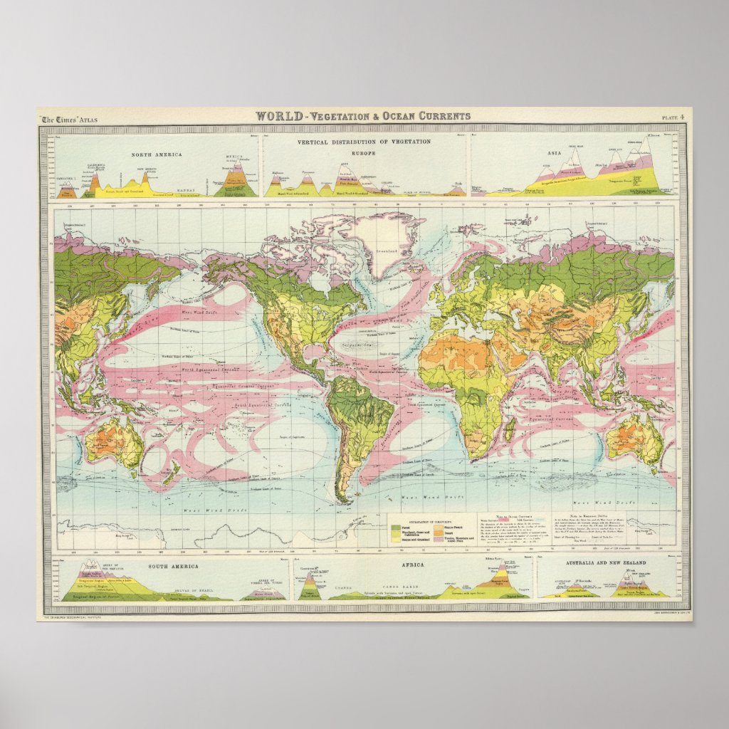 World vegetation & ocean currents Map Poster