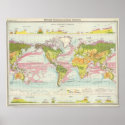 World vegetation & ocean currents Map Poster