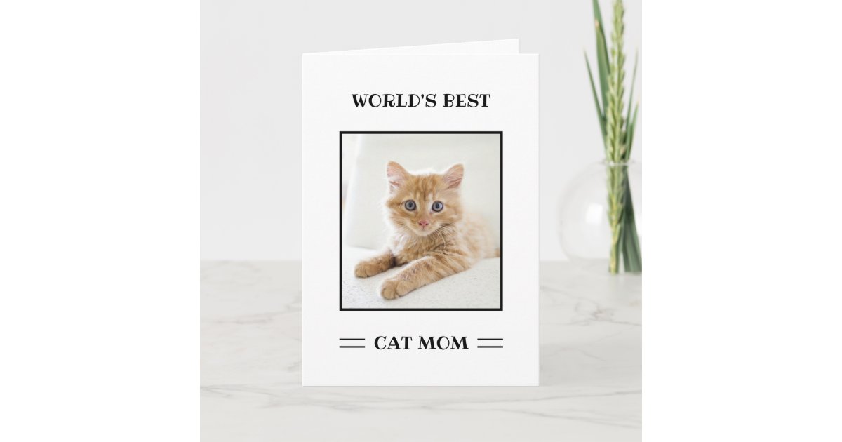 World's Best Cat Mom Custom Photo Personalized Card | Zazzle