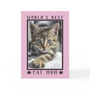World's Best Cat Mom Happy Birthday Photo Pink Card
