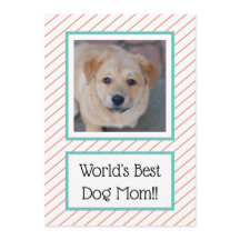 World's Best Dog Mom Coral Striped