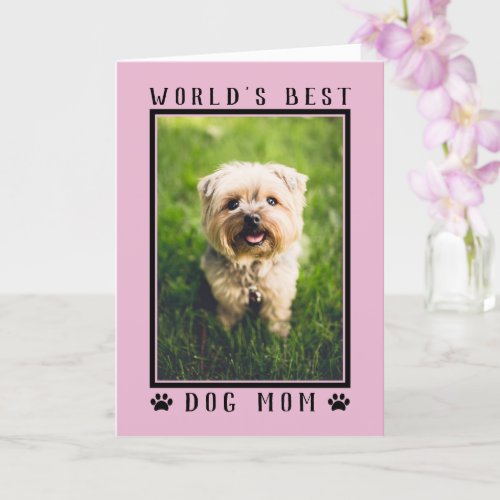 Worlds Best Dog Mom Happy Birthday Photo Pink Card