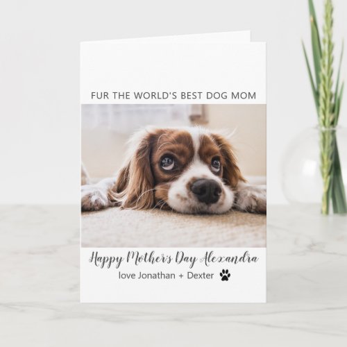 Worlds Best Dog Mom Mothers Day Card