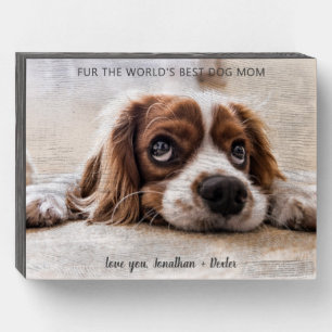 World's Best Dog Mom Mother's Day Wooden Box Sign
