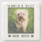 World's Best Dog Mom Paw Prints Pet Photo