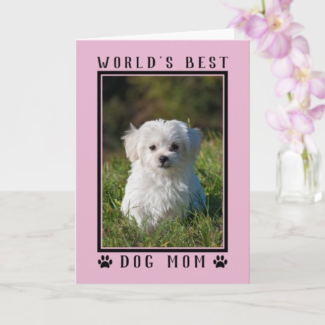World's Best Dog Mom Pink Mother's Day Photo Card (Orchid)