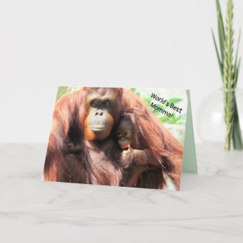 World's Best Mom - Orangutan Mother's Day Card by CatsEyeViewGifts at Zazzle