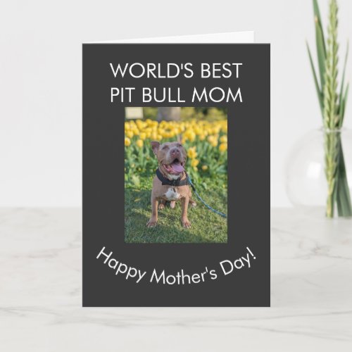 World's best Pit Bull mom Card