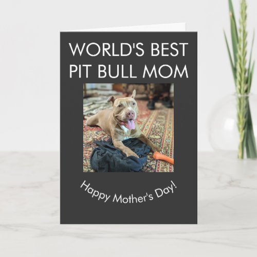 World's best Pit Bull mom Card