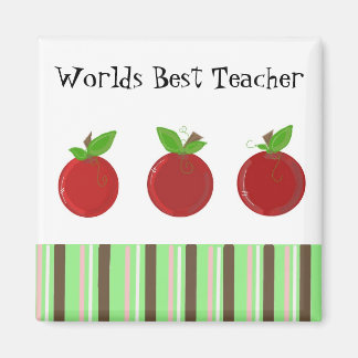 Worlds Best Teacher Magnet