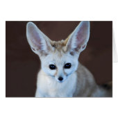 Worlds Cutest Fennec Fox (Front Horizontal)