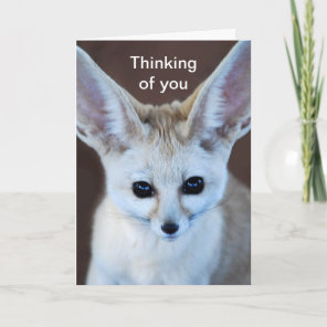 Worlds Cutest Fennec Fox Card