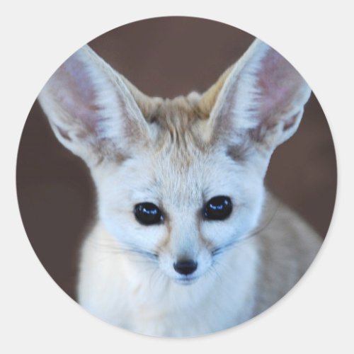 Worlds Cutest Fennec Fox Classic Round Sticker