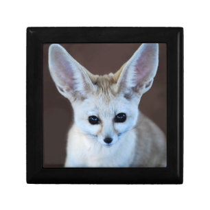 Worlds Cutest Fennec Fox Keepsake Box