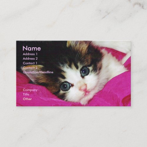 World's Cutest Kitten Business Card