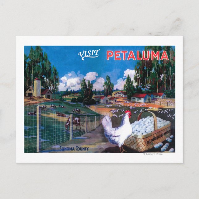 World's Egg Basket Poster Postcard (Front)