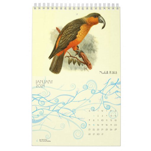 Worlds Extinct Birds Vintage Art Birders 2024 Wall Calendar Zazzle