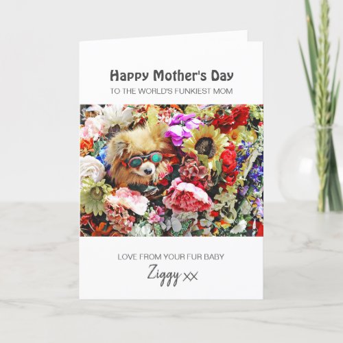 Worlds Funkiest Dog Mom Personalized Mothers Day Holiday Card