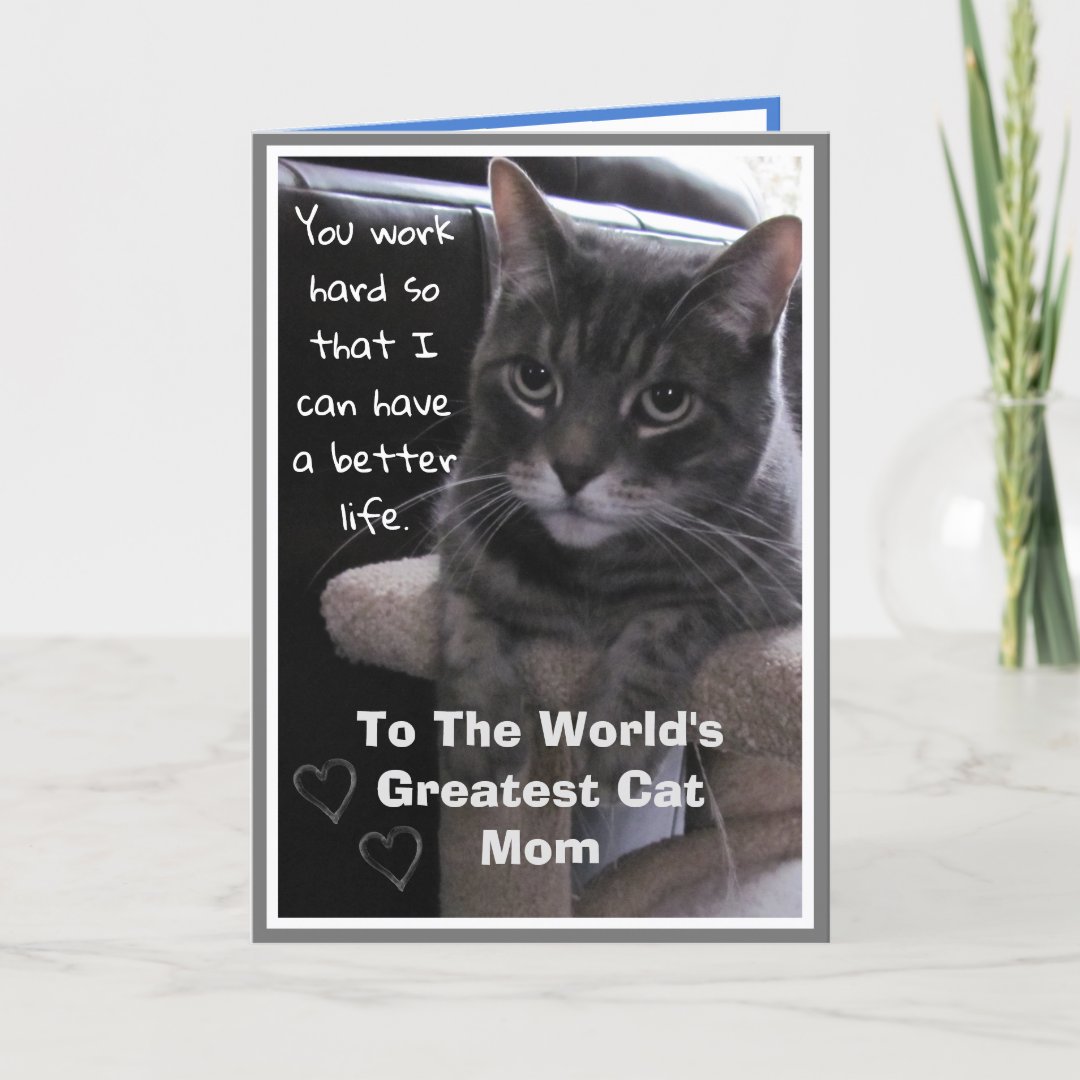 World's Greatest Cat Mom Funny Card | Zazzle