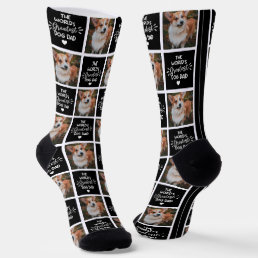 World&#39;s Greatest Dog Dad Picture Socks