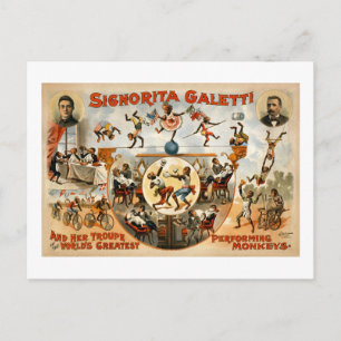 World's Greatest Performing Monkeys 1892 Postcard