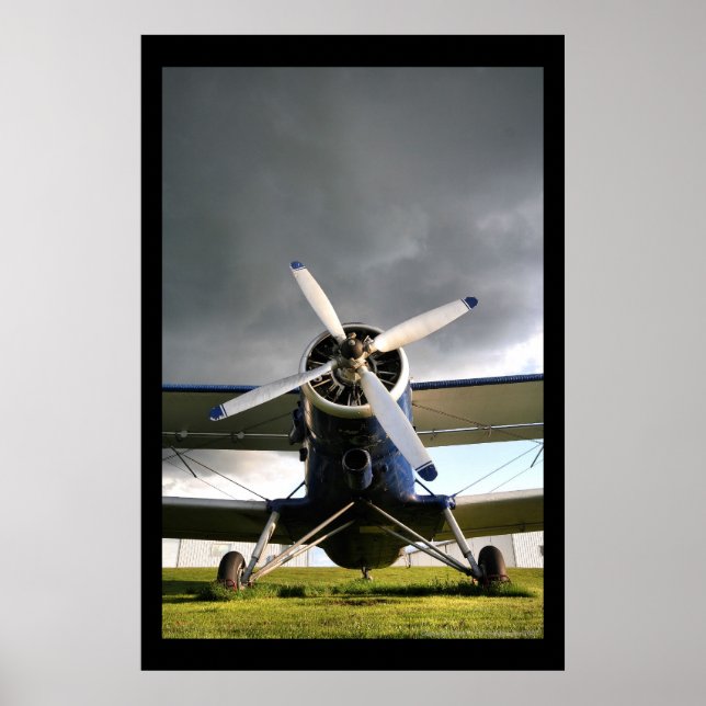 Worlds Largest Biplane Poster (Front)