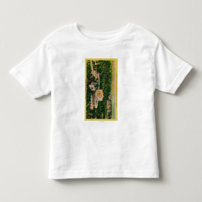 World's Largest Outdoor Organ Toddler T-shirt (Front)