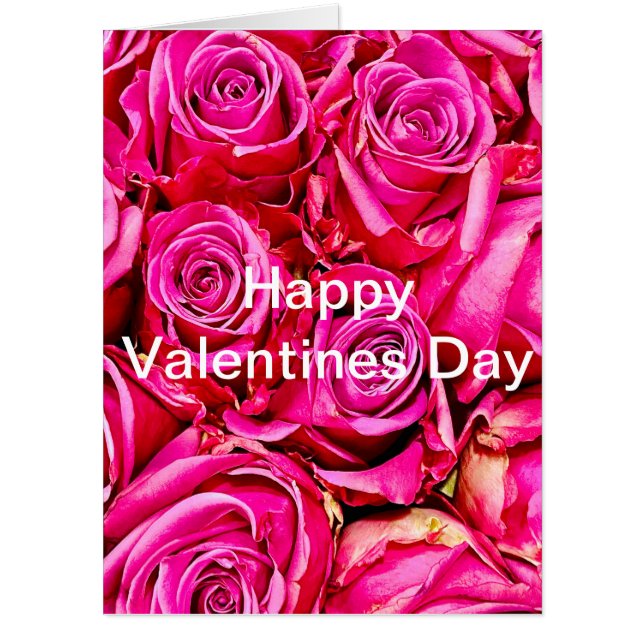 World's Largest Pink Roses Valentines Day Card (Front)