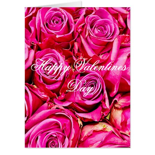 Worlds Largest Pink Roses Valentines Day Card