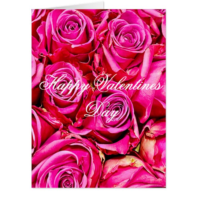 World's Largest Pink Roses Valentines Day Card (Front)
