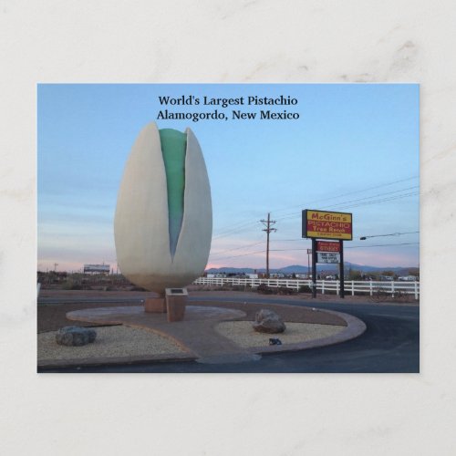 Worlds Largest Pistachio Postcard