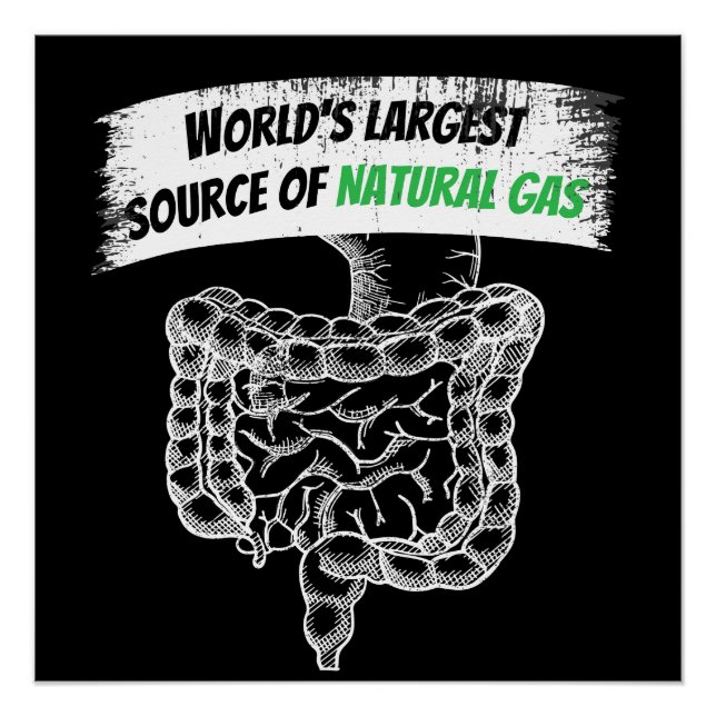 World's Largest Source Of Natural Gas Farting Poster (Front)