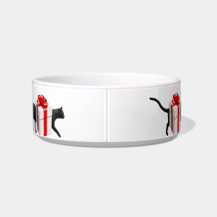 World's Longest Cat Bowl