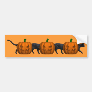 World's Longest Cat Bumper Sticker