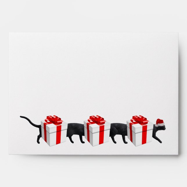 World's Longest Cat Envelope (Front)