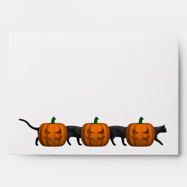 World's Longest Cat Envelope (Front)