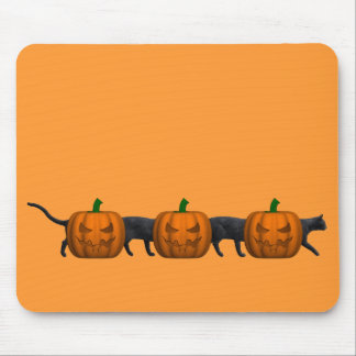 World's Longest Cat Mouse Pad