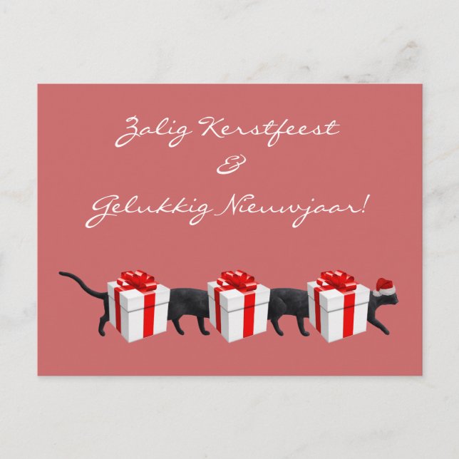 World's Longest Cat Postcard (Front)