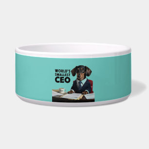 World's smallest CEO, cute funny dachshund in suit Bowl