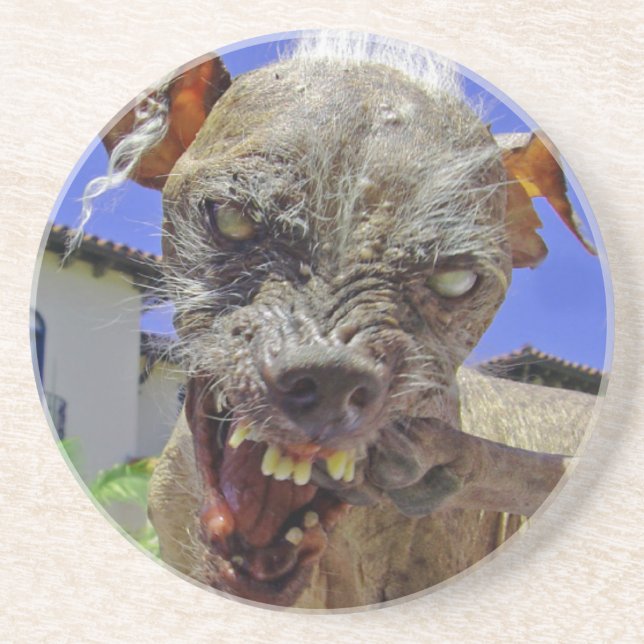 World's Ugliest Dog Sandstone Coaster (Front)