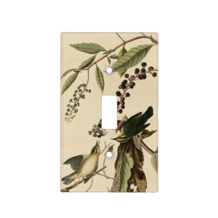 Worm eating Warbler - Audubon's Birds of America Light Switch Cover