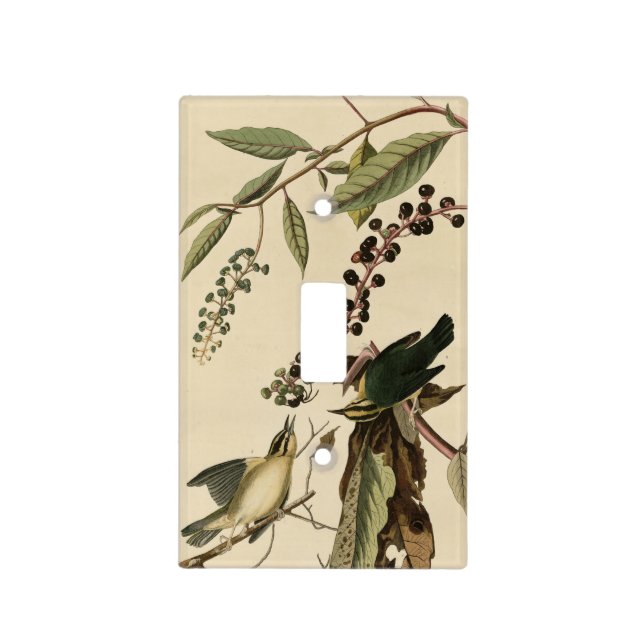 Worm eating Warbler - Audubon's Birds of America Light Switch Cover (Front)