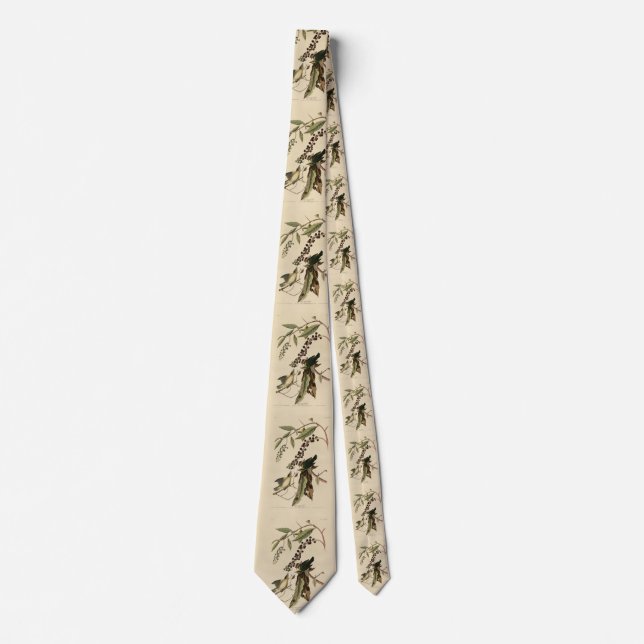 Worm eating Warbler - Audubon's Birds of America Neck Tie (Front)