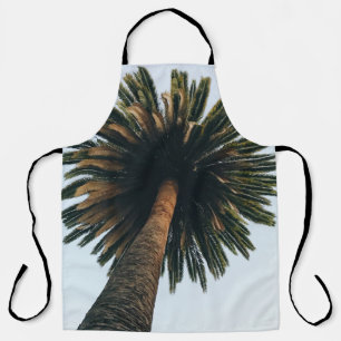 Worm eye photography of palm tree apron