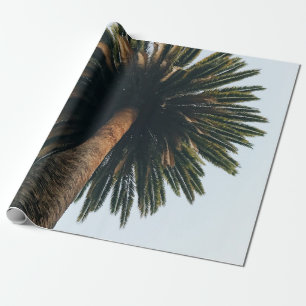 Worm eye photography of palm tree wrapping paper