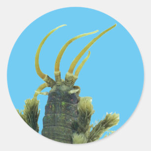 Worm Sticker 1